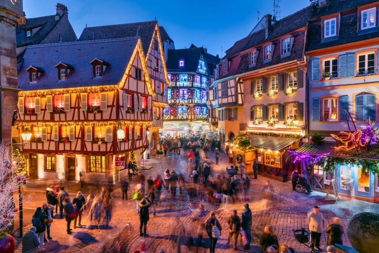 Le Petit Chataignier - Cozy Immo ชาเตอนัวส์ ภายนอก รูปภาพ