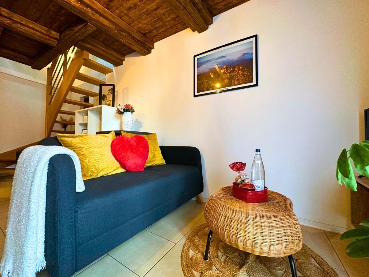 Le Petit Chataignier - Cozy Immo ชาเตอนัวส์ ภายนอก รูปภาพ