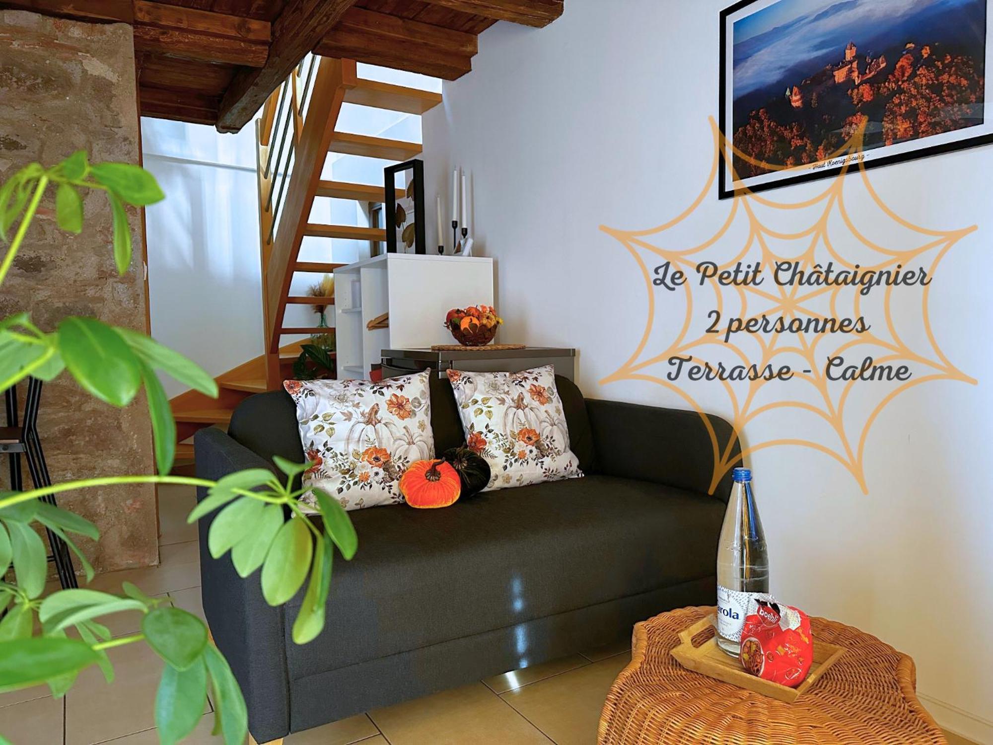 Le Petit Chataignier - Cozy Immo ชาเตอนัวส์ ภายนอก รูปภาพ